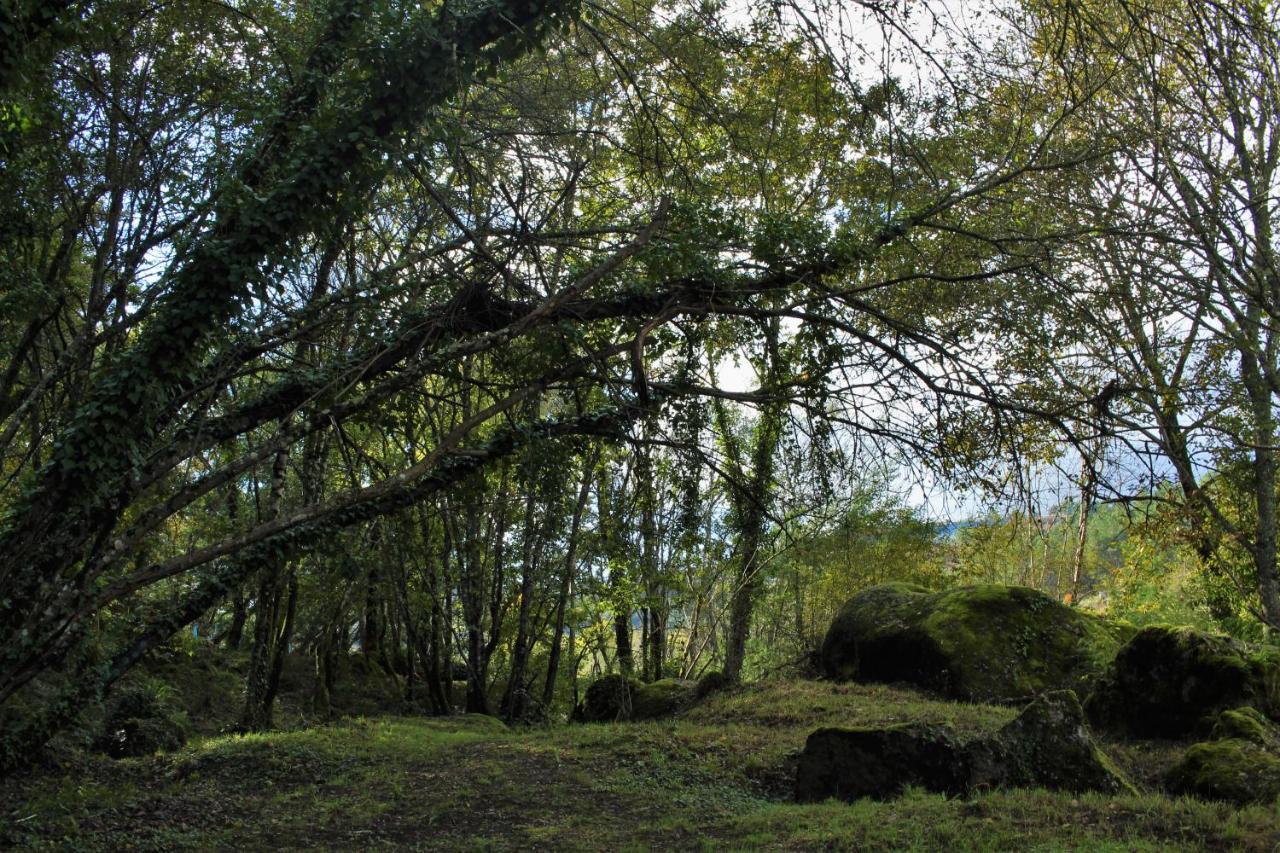 5ª D'Azenha - River And Nature Амаранте Екстериор снимка
